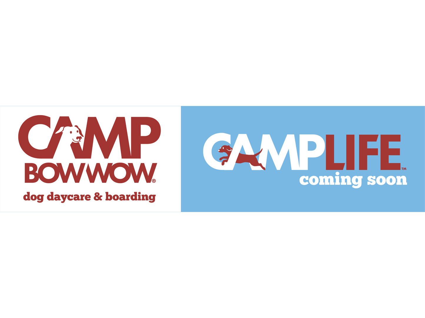 Camp Bow Wow Opening Banners