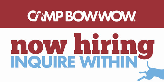 Camp Bow Wow Now Hiring