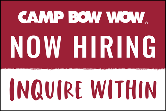 Camp Bow Wow Now Hiring
